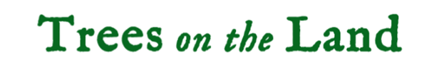 Trees on the land logo in green font