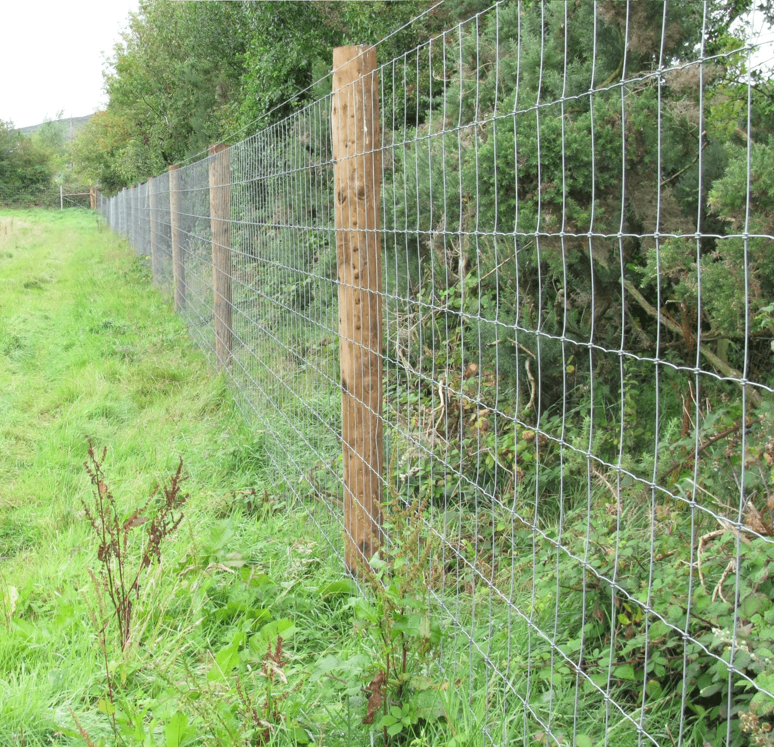 A picture of fencing with wooden poles and wire mesh