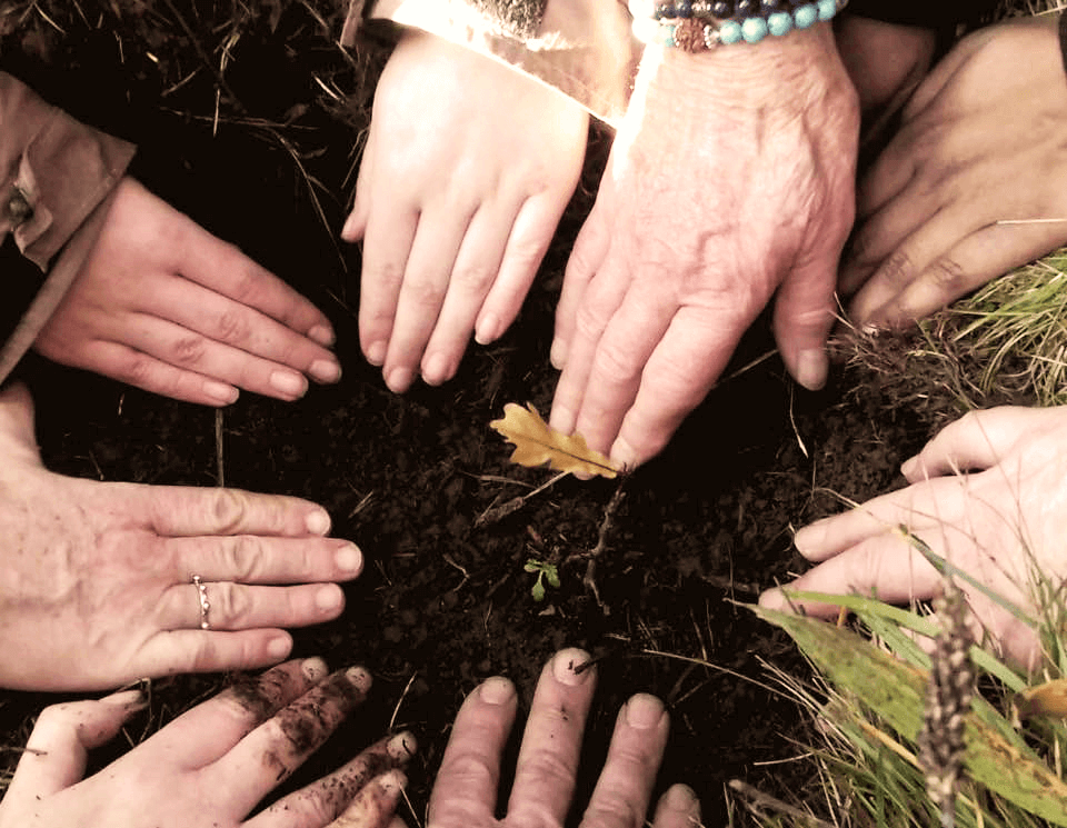 a circle of hands in the soil